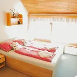 Guest house Bily Horec 3*