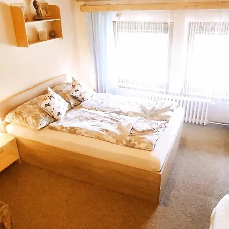 Bily Horec Guest house *