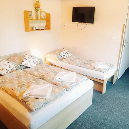 Bily Horec Guest house Vrchlabi