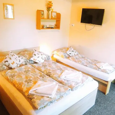 Guest house Bily Horec Vrchlabi