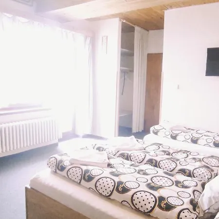 Bily Horec Guest house *