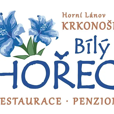 Bily Horec Guest house
